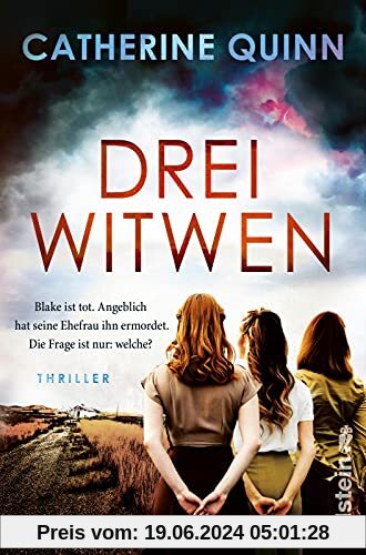 Drei Witwen: Thriller | Ein mitreißender Mormonen-Thriller